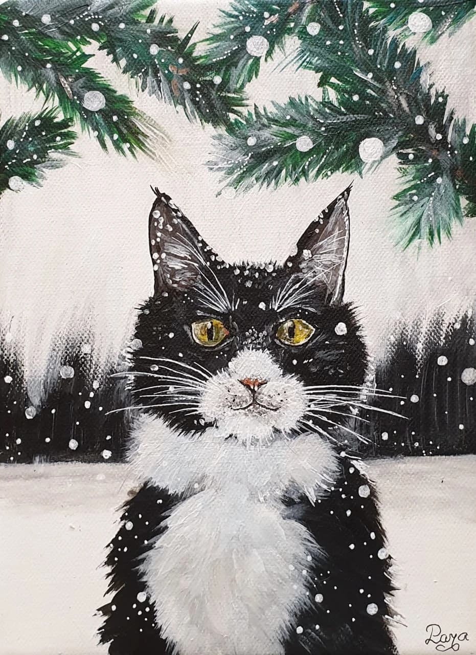 Котик зимний